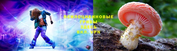 тгк Липки